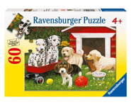 more-results: Ravensburger Puppy Party (60pcs) Get ready for a woofing-good time with the "Puppy Par