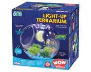 more-results: Terrarium Overview: The Thames &amp; Kosmos Wow in the World: Light-Up Terrarium Kit i