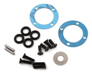 Team Losi Racing 22X-4 Differential Seal & Hardware Set | product-related