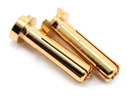 TQ Wire 4mm Low Profile Male Bullet Connectors (Gold) (18mm) (2) | product-related
