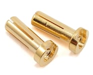 TQ Wire 4mm Low Profile Male Bullet Connectors (Gold) (14mm) (2) | product-also-purchased