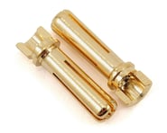 TQ Wire 4mm Narrow Top Male Bullet Connector (Gold) (2) | product-related