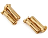 more-results: Yeah Racing Male 5mm Gold Bullet Plugs (4)