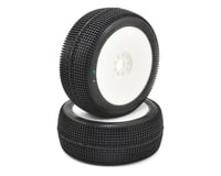 AKA EVO Zipps 1/8 Buggy Pre-Mounted Tires (2) (White) (Soft - Long Wear)