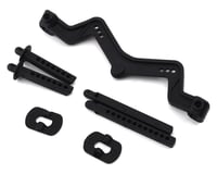 Team Associated DR10 Body Mount & Posts