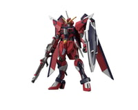 Bandai #244  Immortal Justice Gundam "Gundam Seed Freedom", Bandai Hobby HGCE 1/144