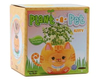 Creativity For Kids Plant-a-Pet Kitty Craft Kit