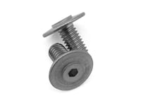 CRC MetriCKs Low Profile Spring Retainer Screws (2)