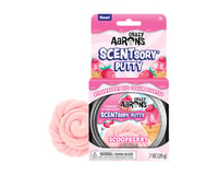 Crazy Aaron's Scoopberry SCENTsory Thinking Putty