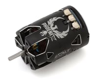 Team Exalt Phoenix Modified Brushless Motor (4.0T)