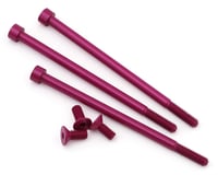 Team Exalt Complete 25.5T Modified Motor Aluminum Screws Kit (Pink)