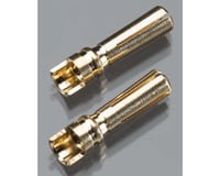 Team Integy Gold Plated High Current Bullet Connector, 4mm (2)