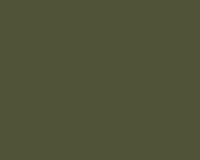 Mission Models US Army Olive Drab FS 33070 (1oz)