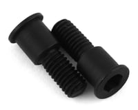 IRIS Belt Bearing Screws (2)