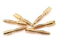 Ruddog 2mm Gold Male Bullet Plug (6)