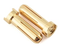 Ruddog 5mm Gold Male Bullet Plug (2)