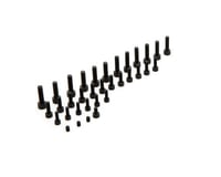 Saito Engines Crankcase Screw Set: CA