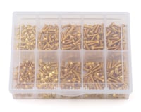 Samix Stainless Steel M3 Screw Set w/Storage Box (Gold) (350)