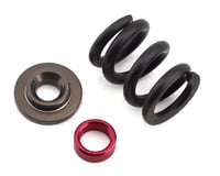 Team Losi Racing SHDS HD Slipper Spring Set