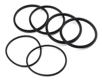 Team Losi Racing Motor Mount O-Ring (2)