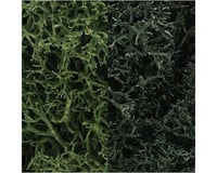 Woodland Scenics Lichen Bag, Dark Green Mix/165 cu. in.