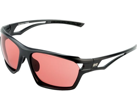 Optic Nerve Variant Photochromatic Sunglasses (Shiny Carbon)