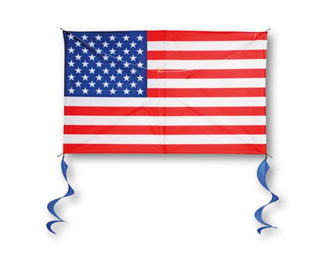 Brain Storm Products 72110 WNS Supersized 48" USA Flag