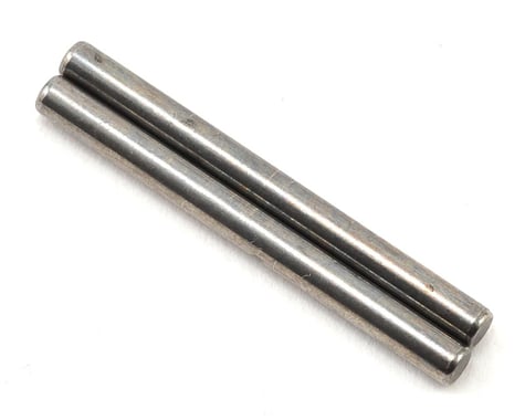 XRAY Rear Arm Pivot Pin (2)