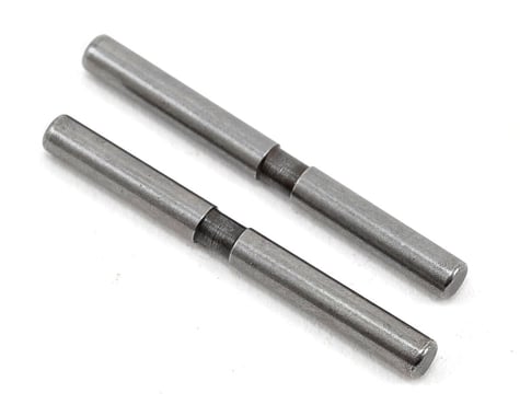 XRAY Rear Outer Arm Hinge Pin (2)
