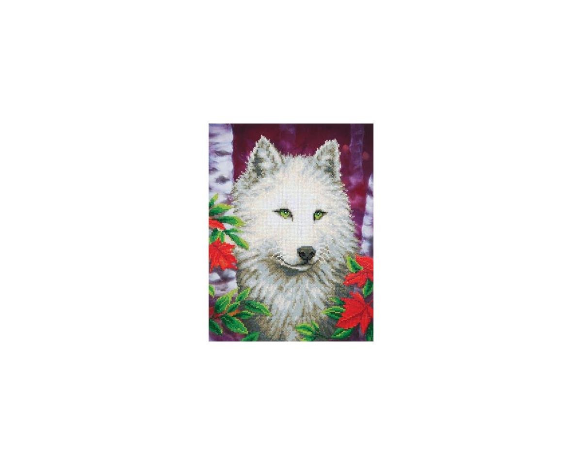 Needle Art World White Wolf Diamond Dotz Art Kit [NAWDD7007] - AMain ...